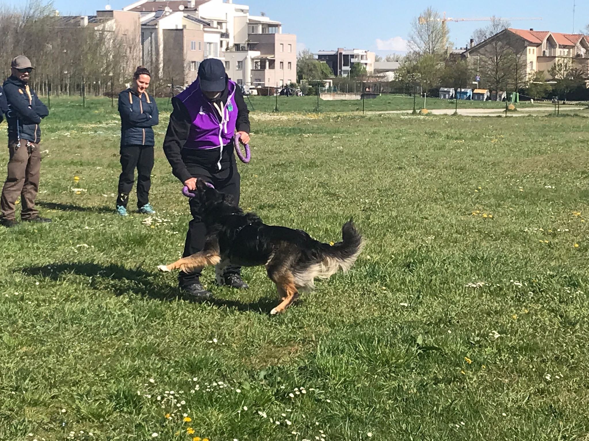 Foto Jumping Lola corre
